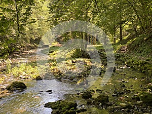 Small mountain river GerovÃÂica, Zamost - Region of Gorski kotar, Croatia / Mala gorska rijeka GerovÃÂica photo